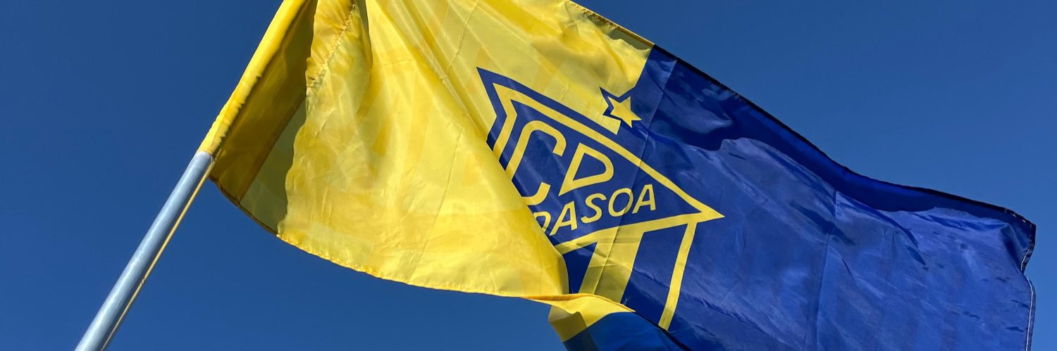 CD Bidasoa Irun's banner
