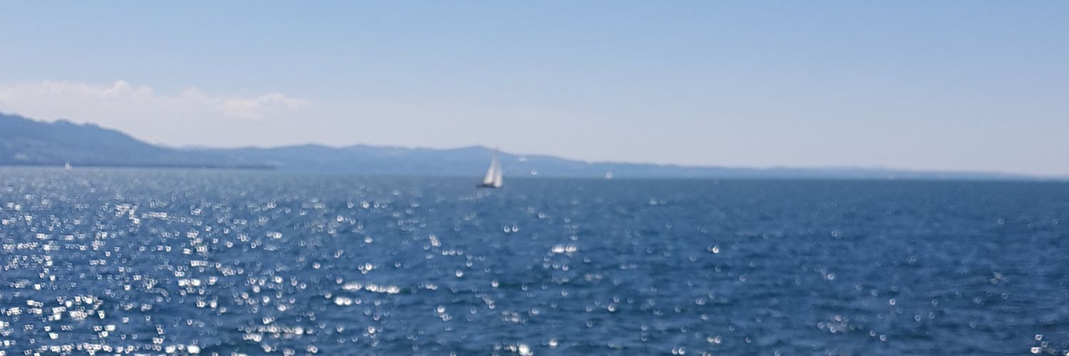 BODO's banner