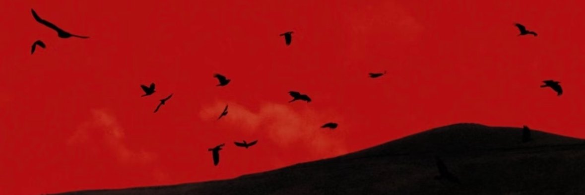 绯汐持链's banner