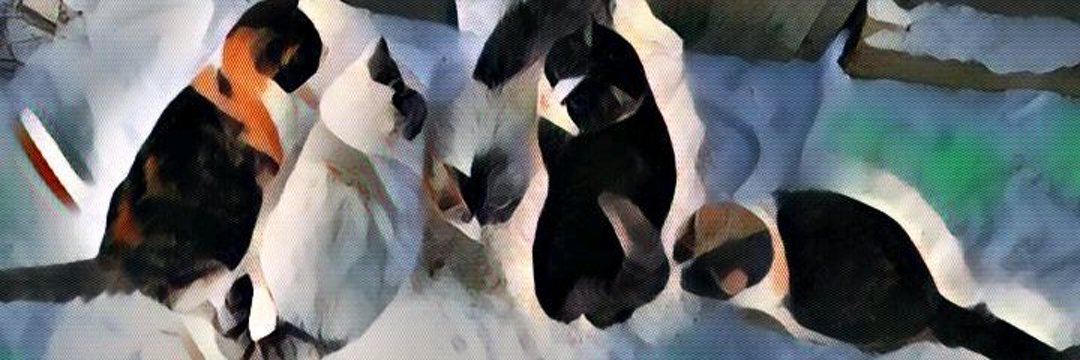Aleks's banner