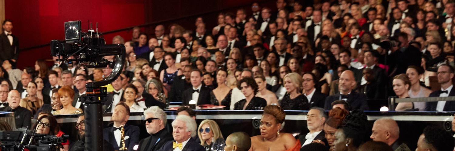 Sasha Stone at Awards Daily's banner