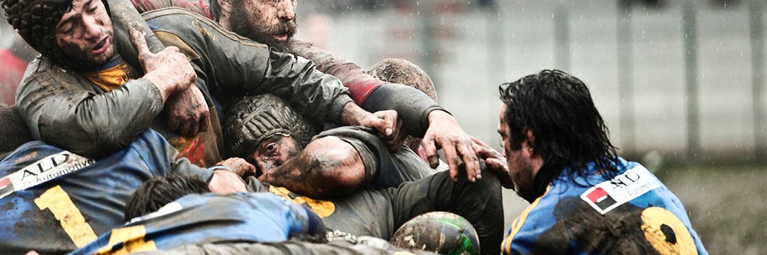 Natalija Žogole's banner
