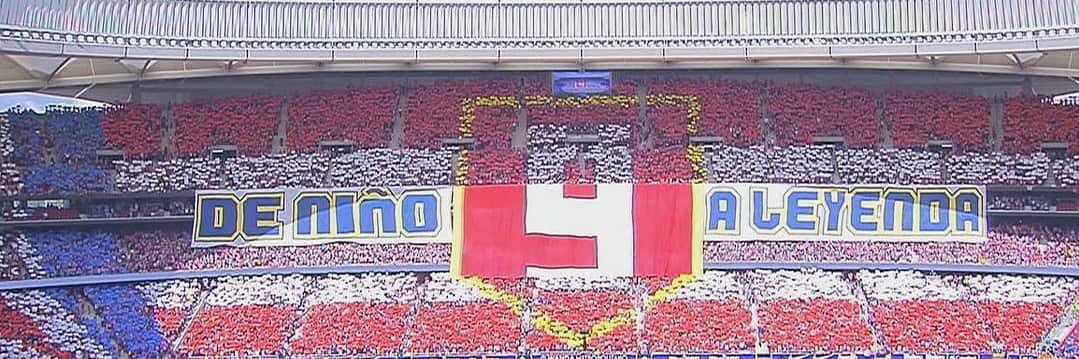 Fernando Torres's banner