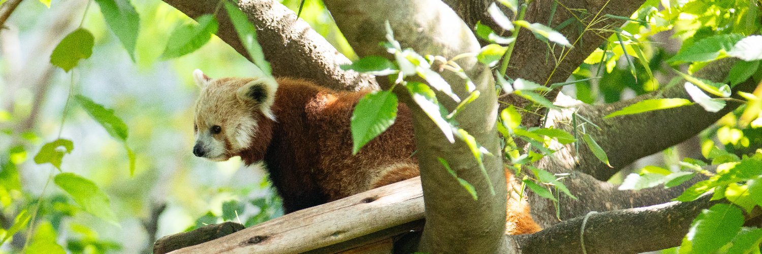 Indianapolis Zoo's banner