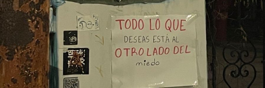 Cóndor ganso's banner