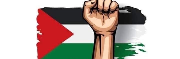 Fighter 🇵🇸 🇸🇩's banner