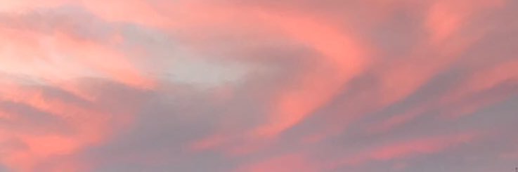 Giuliana Maglietti's banner