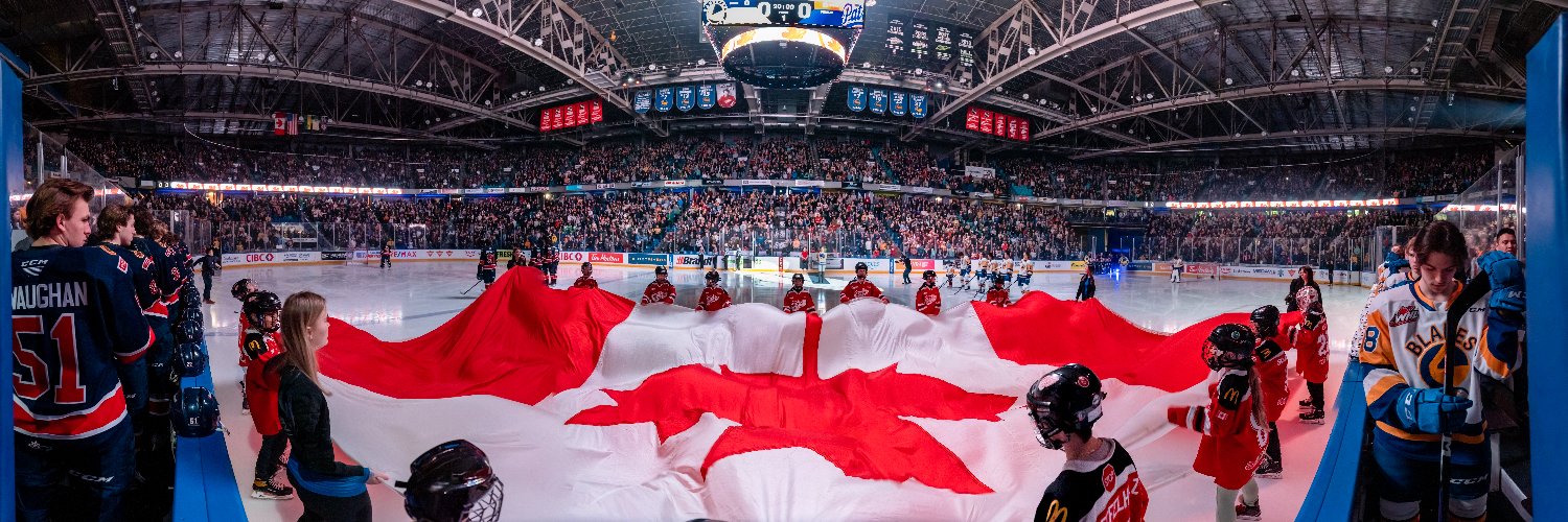 Saskatoon Blades's banner