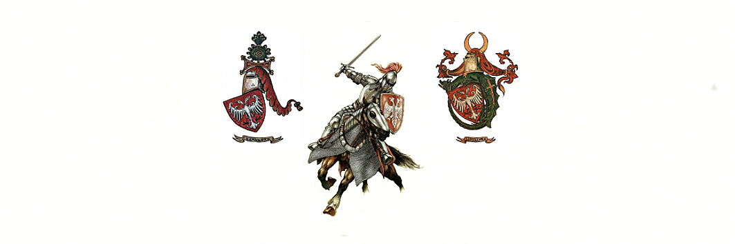 Стефан Високи 1244 🇷🇸's banner