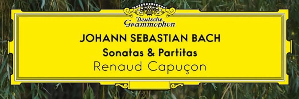 Renaud Capuçon's banner