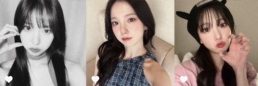 짱토끼's banner