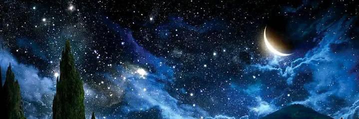 Fatima Ayoubi 🇦🇫🕊's banner