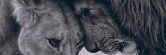 Colleen's banner