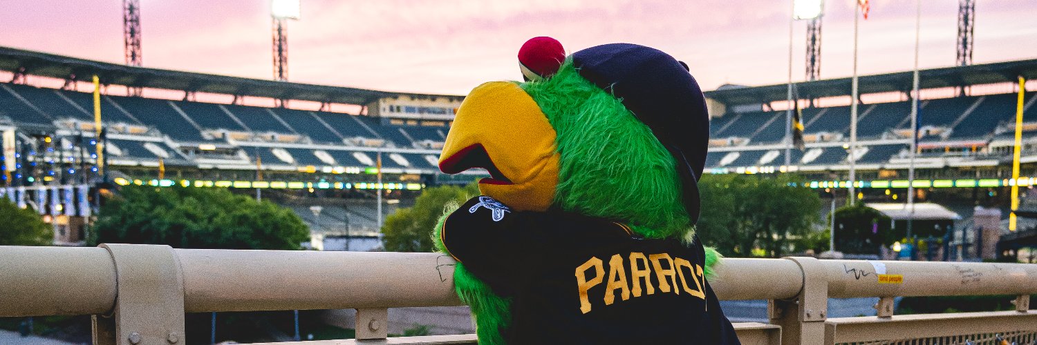 The Pirate Parrot's banner