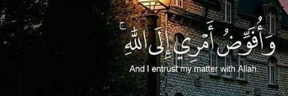 ناصر القريقري الحربي's banner