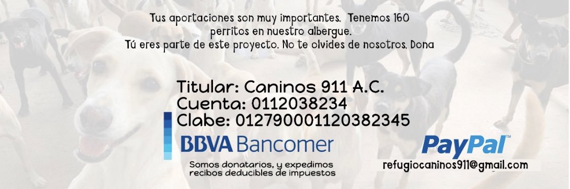 Caninos911's banner