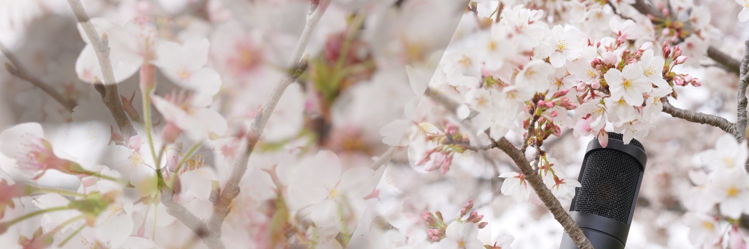 花田麻実子🇯🇵MAMIKO HANADAサバゲー大好きVoice actor！'s banner