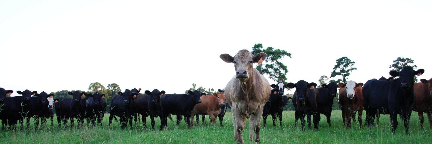 White Oak Pastures's banner