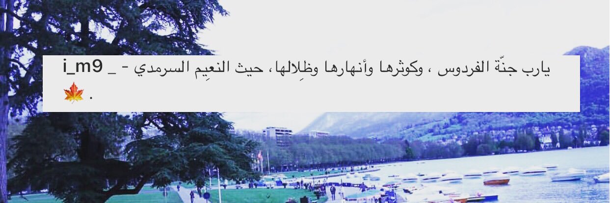 زعتر🌿's banner