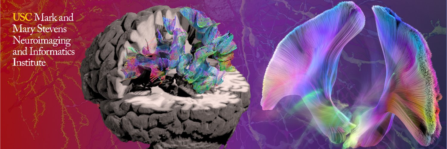 Lab of Neuro Imaging's banner