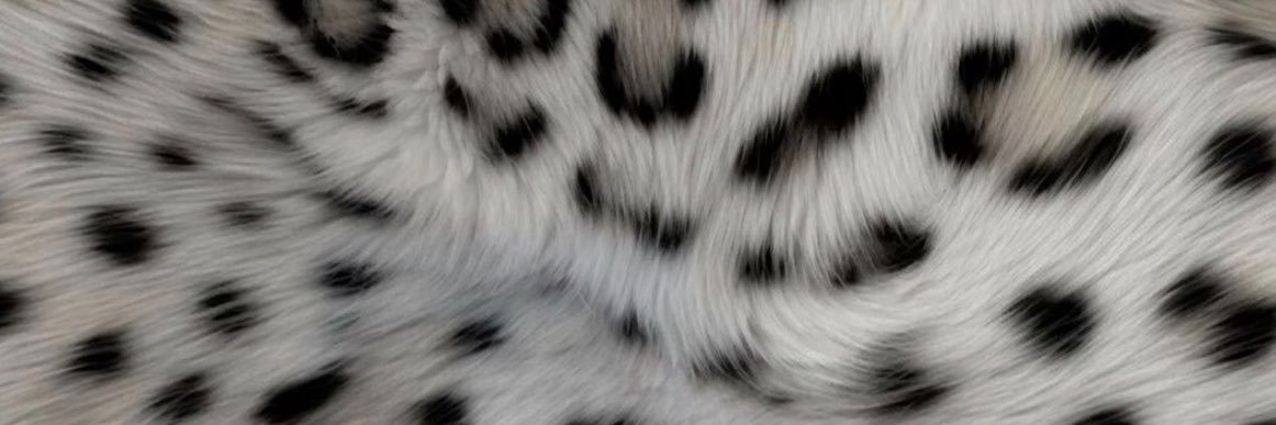 FINDOM PRINCESS 💗's banner