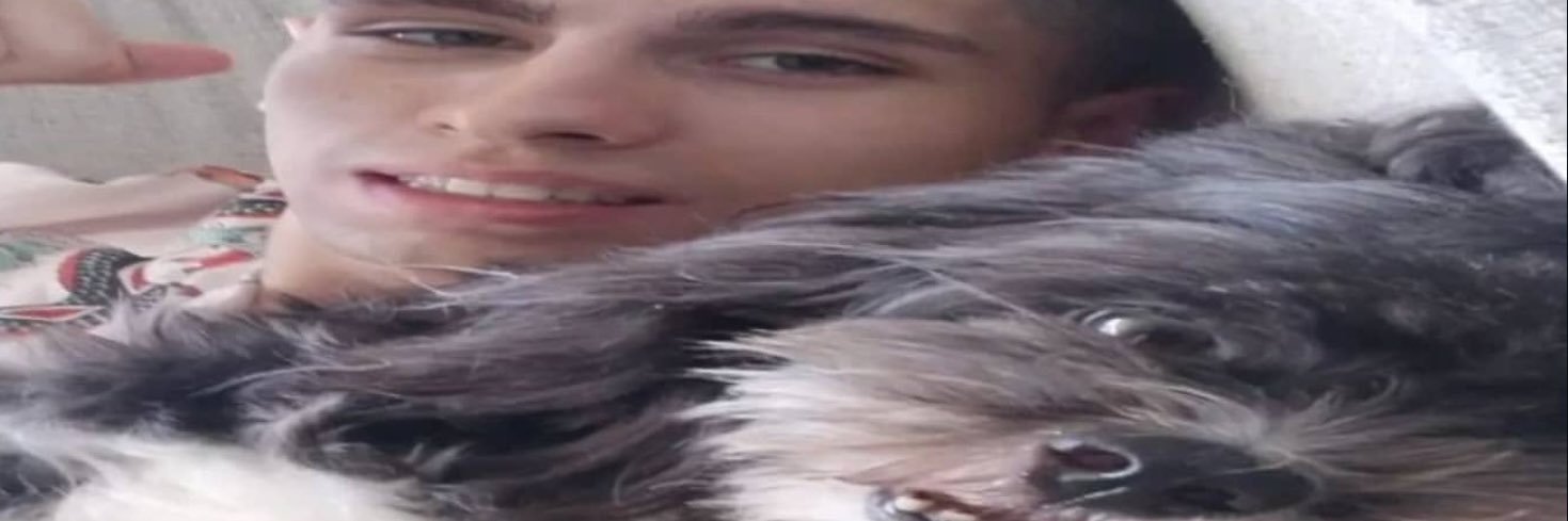 luisinho fotocopias's banner