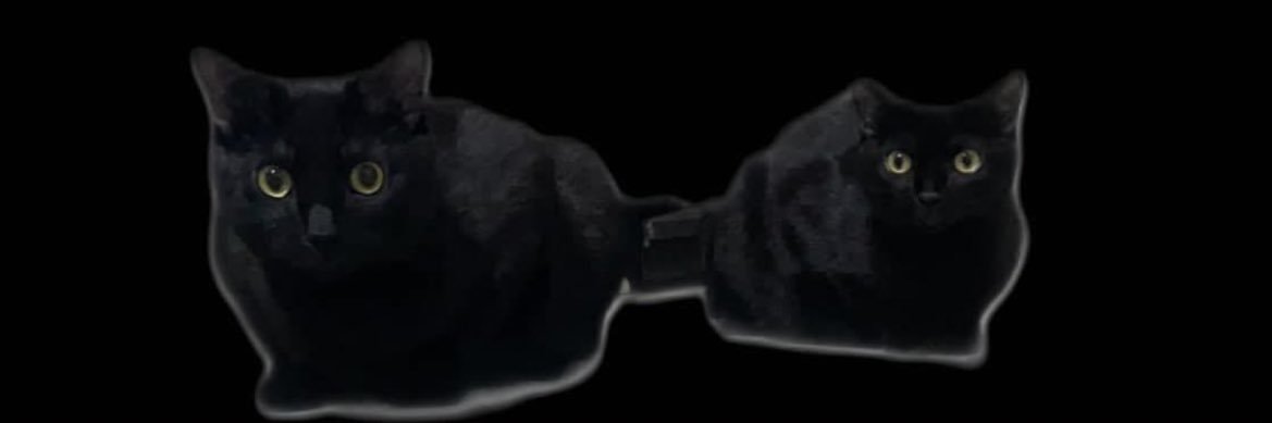 D ⛈'s banner