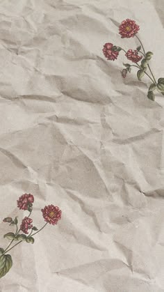 身内しか持っていない秘蔵フォルダ's banner
