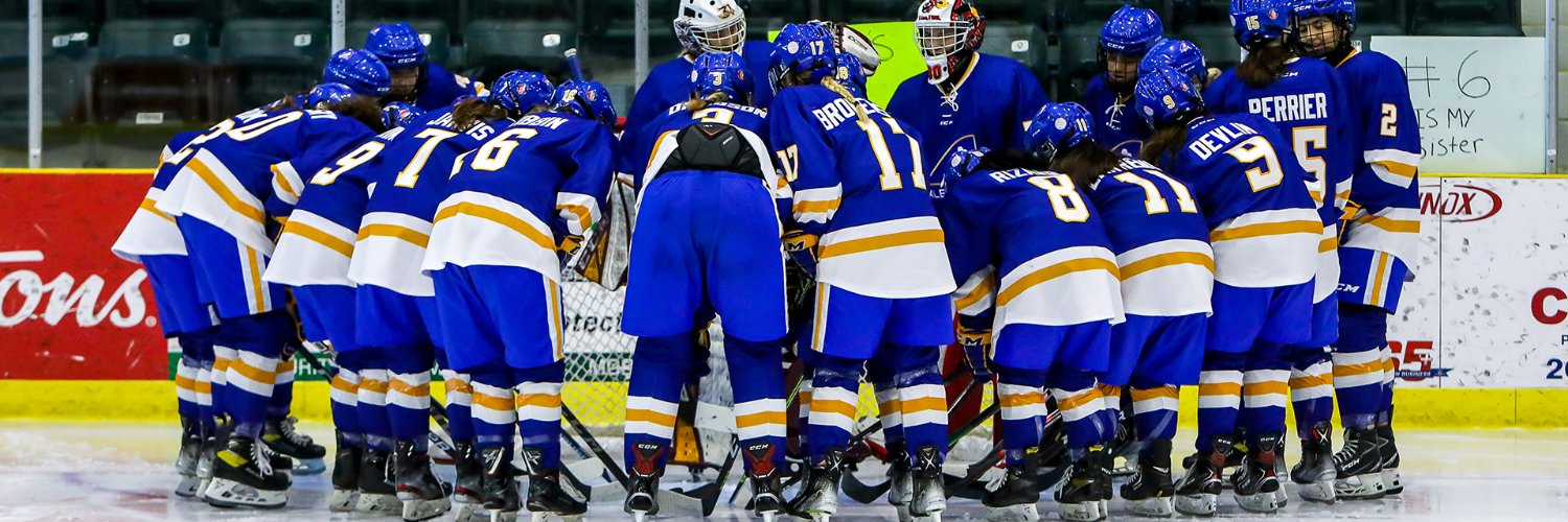 Team Alberta Hockey's banner