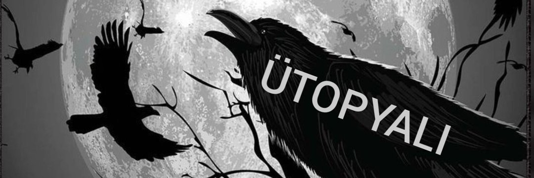 ☆☆ÜTOPYALI 🦅🦅's banner