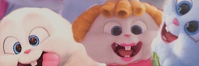 jek 🥕. ꕤ 。˚⋆'s banner