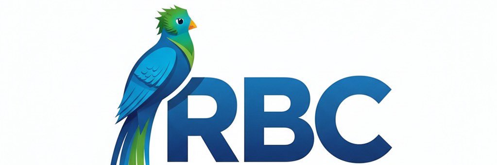 RBCNoticiasGT's banner