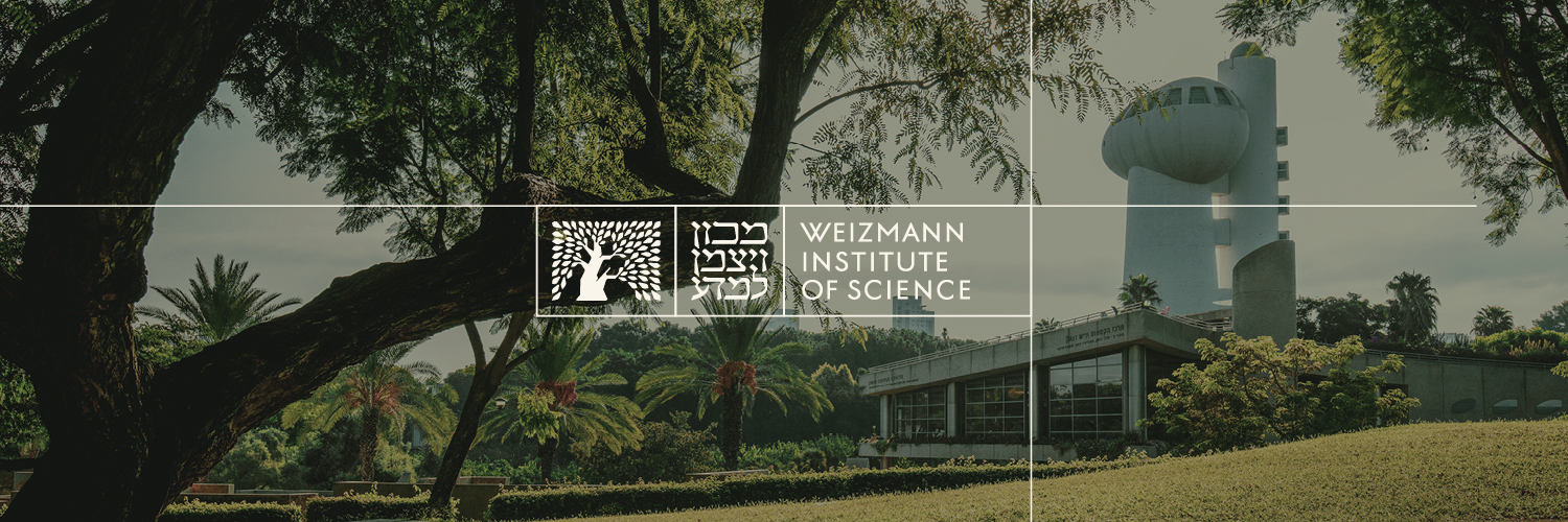 Weizmann Institute's banner