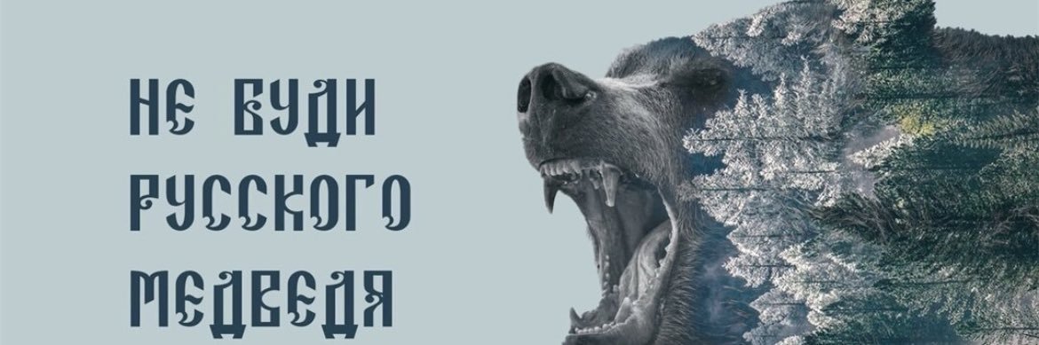 Anastasiia's banner