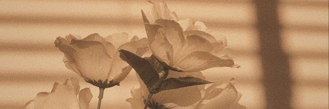 blank space's banner