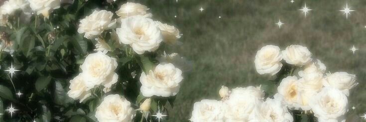 Renja's banner
