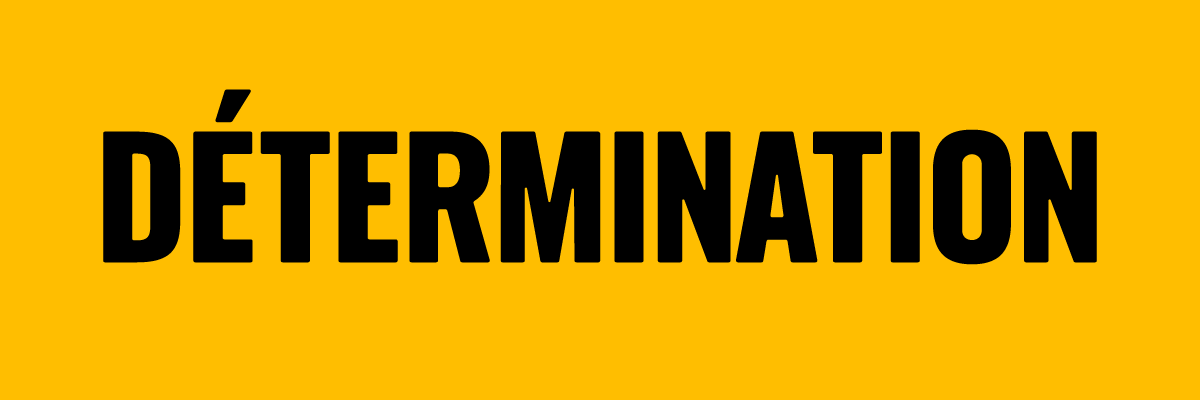Greenpeace France's banner