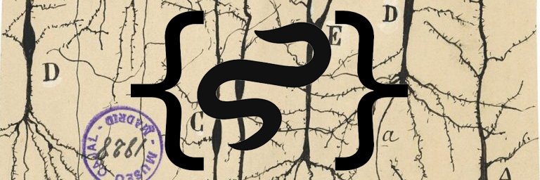 neuro's banner