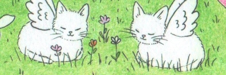 𑣲⋆'s banner