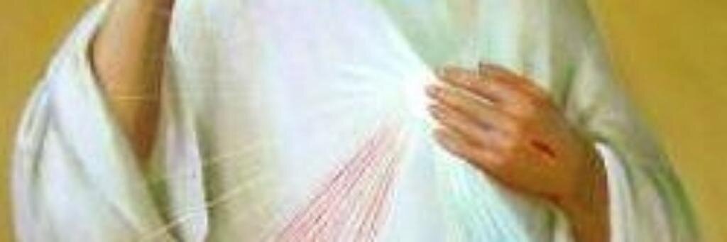 ✝️𝙎𝙖𝙣𝙩𝙤𝙧𝙖𝙡 𝘾𝙖𝙩ó𝙡𝙞𝙘𝙤's banner