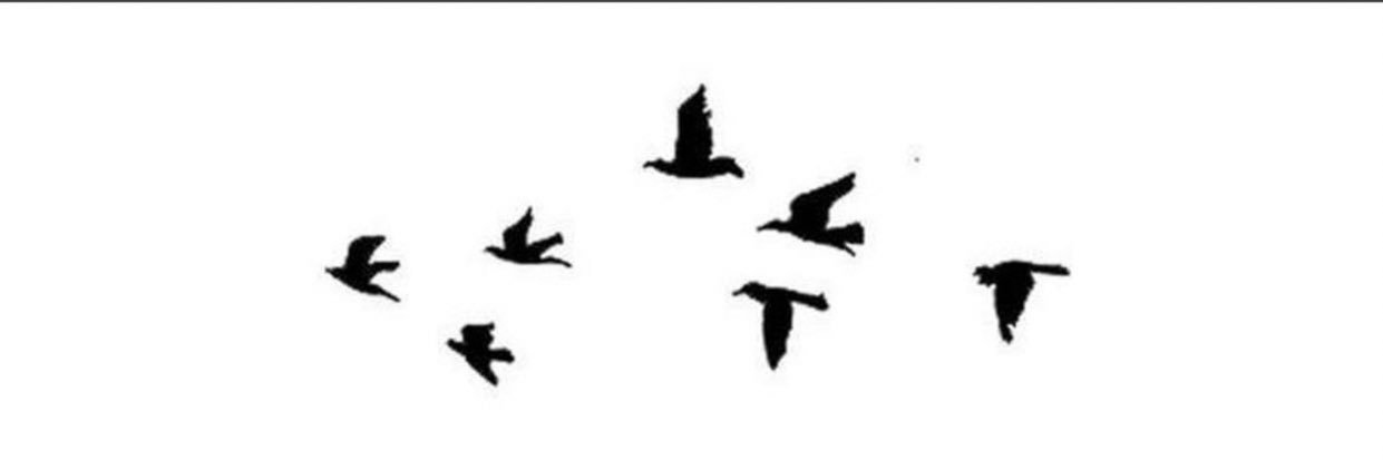 ‏محمد الحناكي's banner
