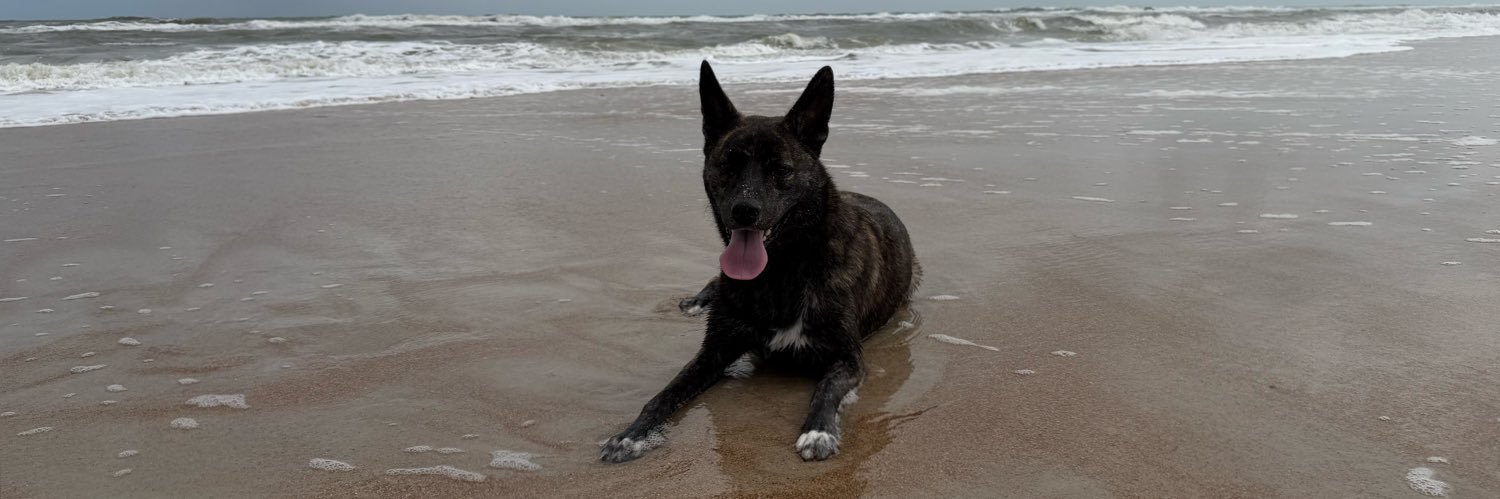Marie ☘️'s banner