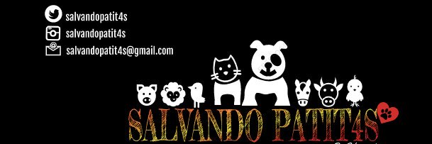 Salvando Patitas Chile 🇨🇱's banner