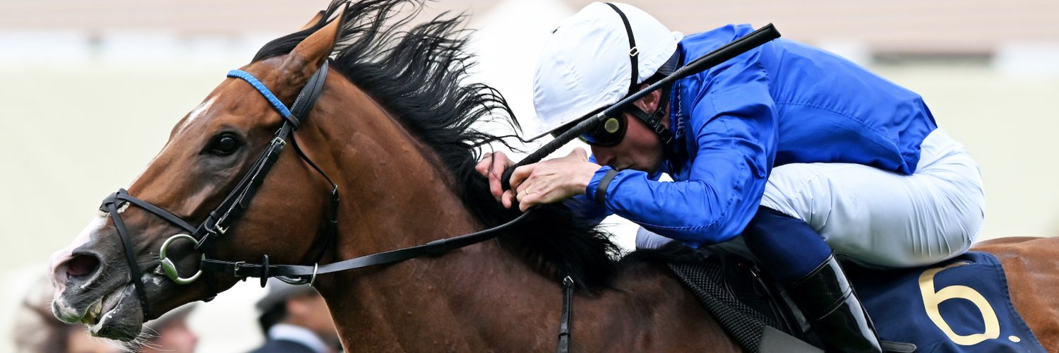 British Horseracing Authority's banner