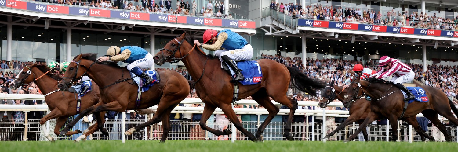 British Horseracing Authority's banner