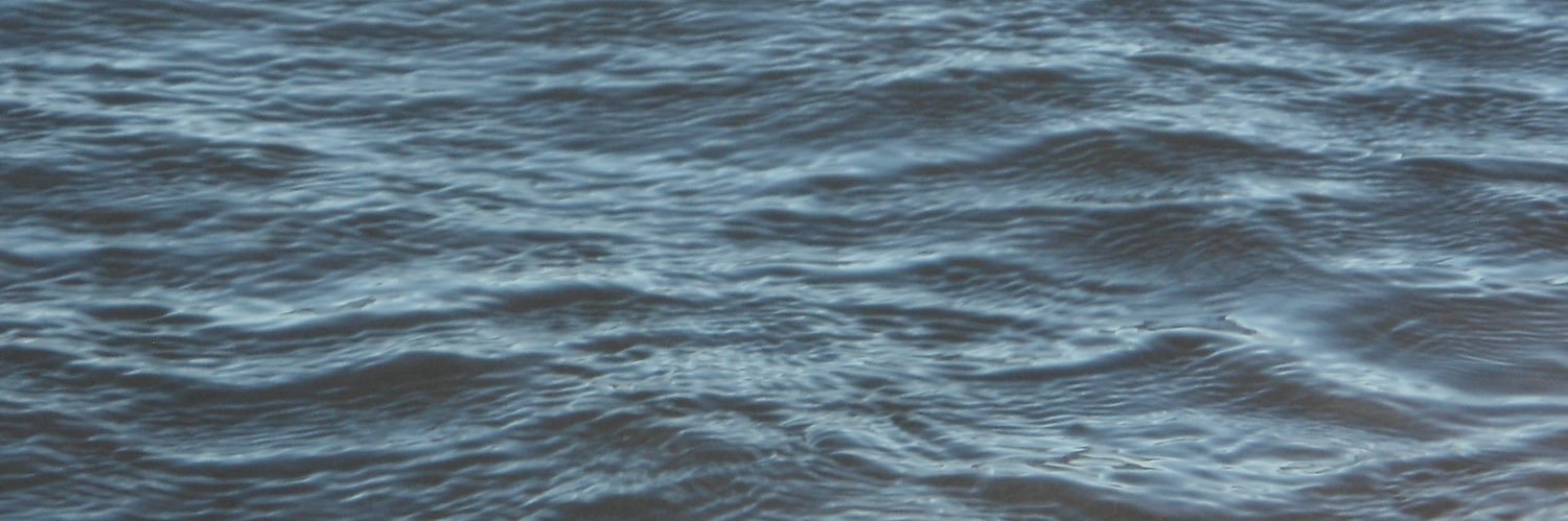 a Loba's banner