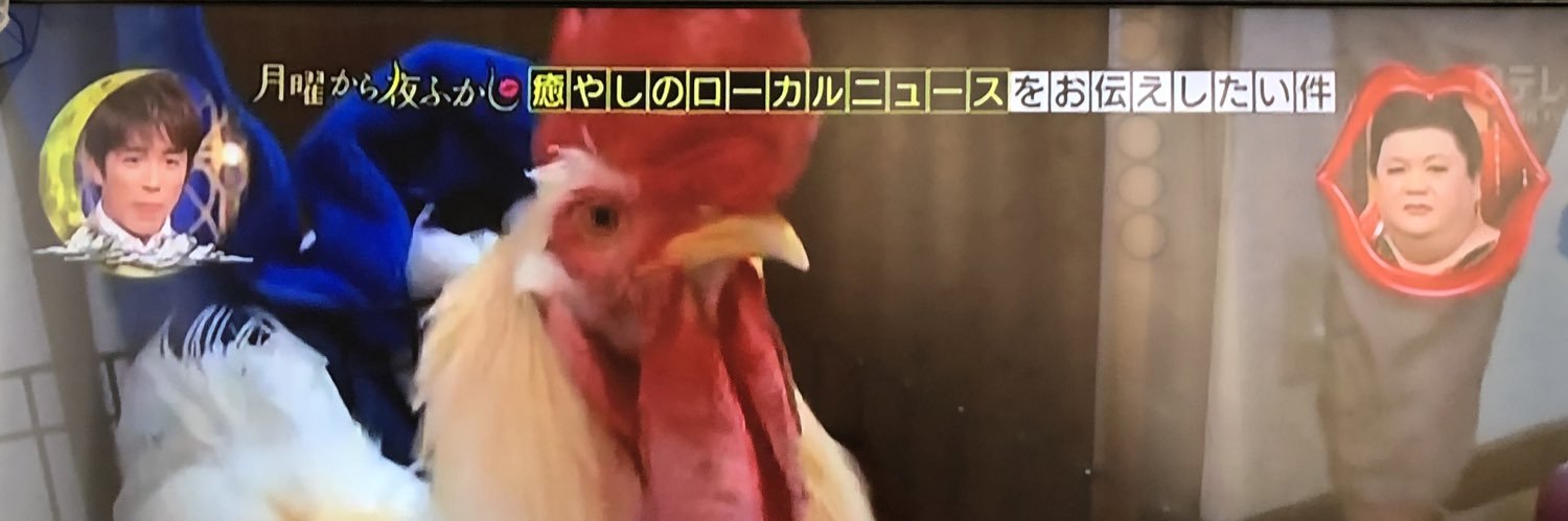 もっこり's banner