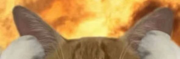 ꪔ̤̮'s banner