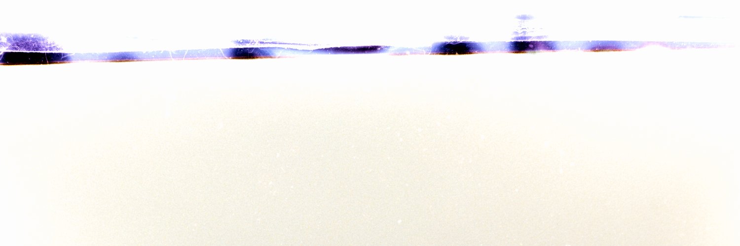 luca's banner