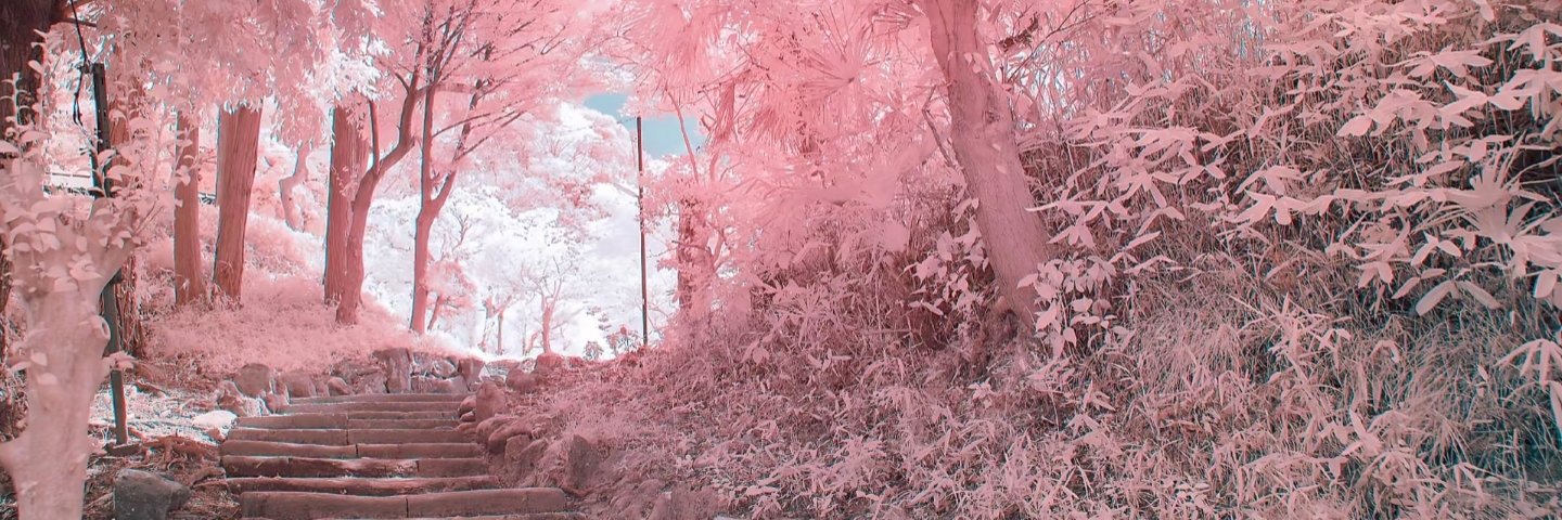 樱桃姐姐's banner